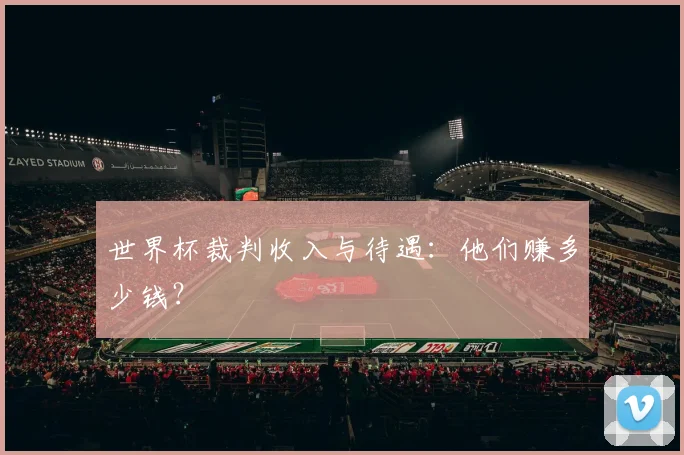 世界杯裁判收入与待遇:他们赚多少钱?
