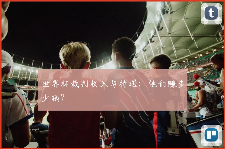 世界杯裁判收入与待遇:他们赚多少钱?
