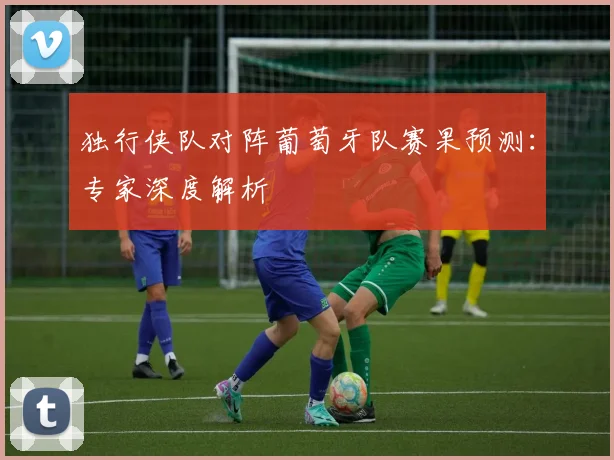 独行侠队对阵葡萄牙队赛果预测：专家深度解析